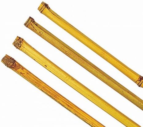 Varas de bambú 150 – 180 cm Ton Kin varillas Rank ayuda Macetero ...