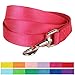 Blueberry Pet Essentials French Pink Dog Leash for Medium - 5' * 3/4