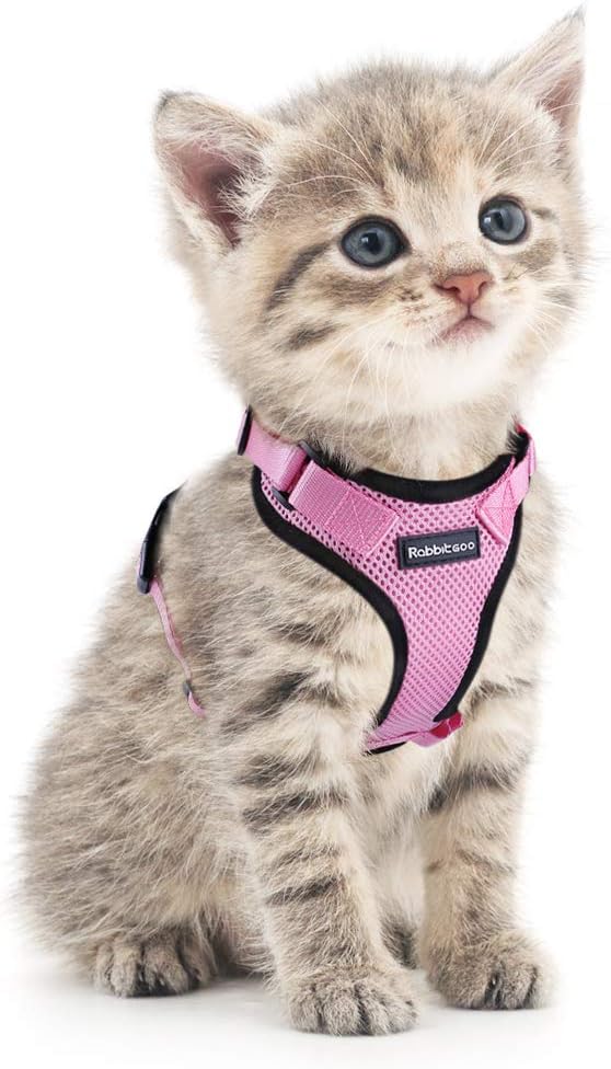 xs cat harness