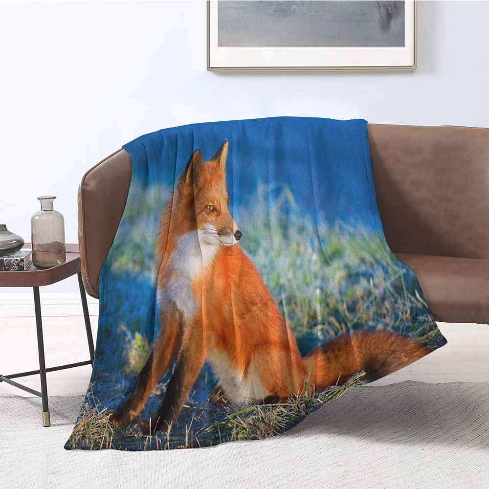 Luckyee Cooling Blanket Fox Serene Autumn Field in Cold Morning with Fox Nature Scenery Grass Perspicacious Blue White Orange Digital Printing Blanket 60"x80" inch