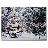 BANBERRY DESIGNS Christmas Tree & Cardinal Birds LED Canvas Print - Snowy Winter Forest Pine Trees Scene - Lighted Picture - Wall Art with Battery Operated Led Lights