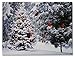 Lighted Christmas Tree & Cardinal Birds LED Canvas Print - Snowy Winter - Forest Pine Trees - Winter Scene Wall Art Measures 15.75