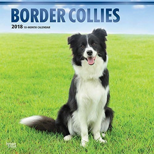 Border Collies 2018 Wall Calendar