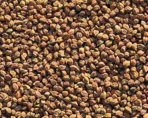 Laxmi Kala Chana Black Chickpeas - Whole Chana, 8 Pound Bag