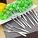 10 piece Stainless Steel Fruit Fork,Cake Fork,Cocktail Forks
