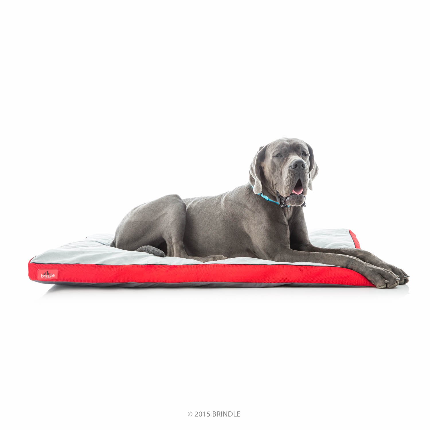Brindle Soft Shredded Memory Foam Dog Bed with Removable Washable Cover