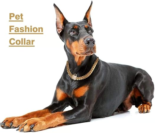 big gold dog collars