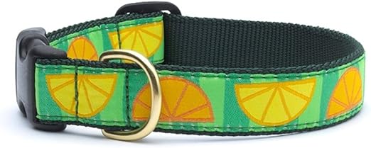 citrus dog collar