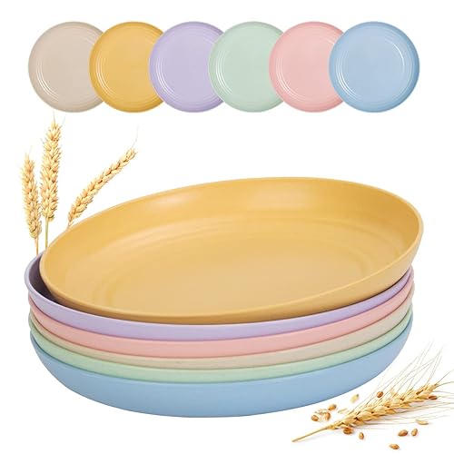 BEIUTAO 12 PACK Inch Lightweight Wheat Straw Plates, Unbreakable Deep  Dinner Plates, Plastic Plates Reusable
