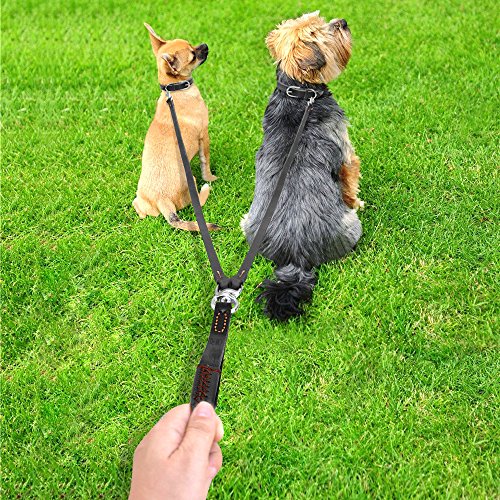 twin dog lead