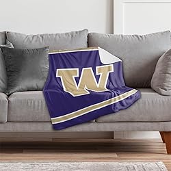 University of Washington Primary Logo Stripes