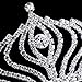 Tiaras And Crowns For Women,Princess Tiara with Comb Pin Wedding Bridal Birthday Tiaras,Rhinestone Tiara Crown Headband For Party (KY005)