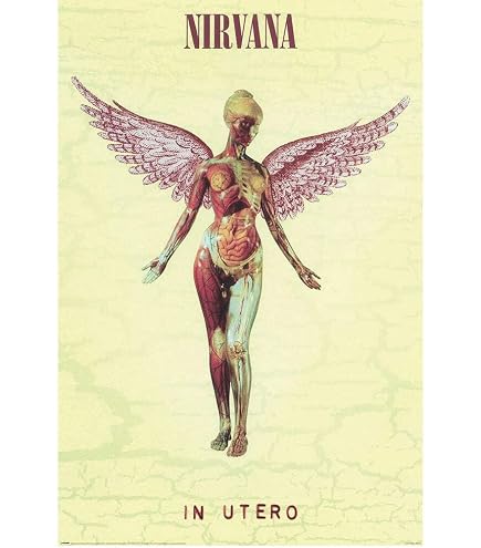 SDFGW Nirvana in Utero Art Poster Wall Art Posters for Room