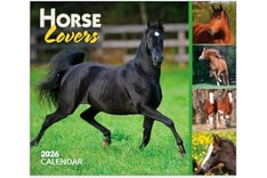 Horse Lovers | 2026 6 x 5 Inch Daily Desktop Box Calendar | New Page Every Day | BrownTrout | Animals Horses Equestrian