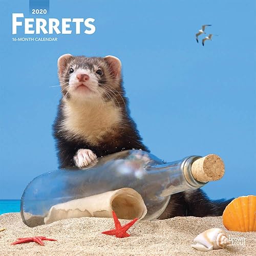 Download Ferrets 2020 Calendar PDF
