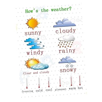 Buy Preschoolers Kids Early Learning Educational Wall Posters For