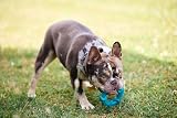 Petface Little Petface Rubber Ring Teething Chew Toy for Puppies view 7