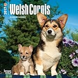 Welsh Corgis - 2017 Mini Calendar 7 x 7in