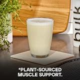 Bulk Vegan Protein Powder Plant Based Unflavoured 1 kg 28 Servings view 6