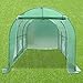 Strong Camel New Hot Green House 12'X7'X7' Larger Walk in Outdoor Plant Gardening Greenhouse