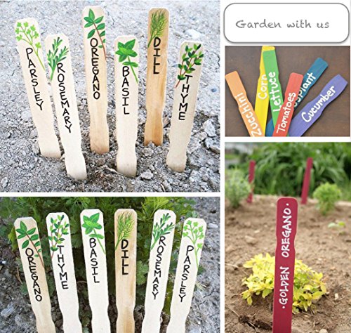 2 Stirring+liquids+project+Improvement+Library