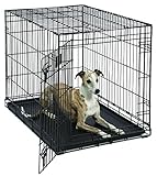 Dog Crate | MidWest Life Stages 36" Folding Metal Dog Crate | Divider Panel, Floor Protecting Feet, Leak-Proof Dog Tray | 36L x 24W x 27H Inches, Intermediate Dog Breed