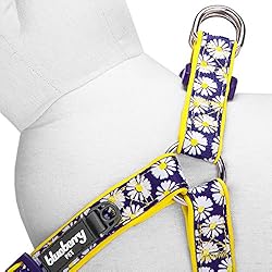 Blueberry Pet 2 Patterns Soft & Comfy Step-in