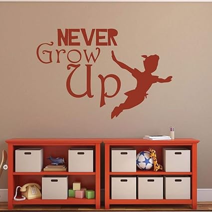 Amazon Com Byron Hoyle Peter Pan Vinyl Wall Decals Never
