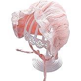 Baby Girl Boy Lace Cotton Bonnet Soft Breathable Adjustable Sun Protection Hat for Infant Newborn Toddler