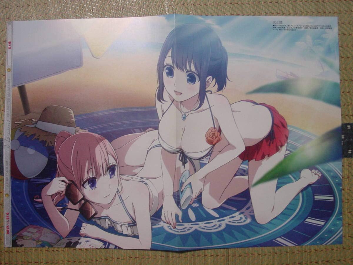 恋と嘘高崎美咲 真田莉々奈 Null 神撃のバハムートニーナドランゴ ジャンヌダルク ソフィエル 温泉 両面ピンナップポスター アニメ 萌えグッズ 通販 Amazon