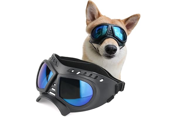 large dog sunglasses