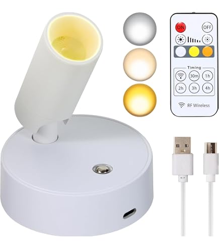 Rechargeable Indoor Up Lights Portable Floor Can Lights with Spotlight Function Remote Control Timer 3 Color Temperatures 5000mAh 450LM for Home Plants Trees Pictures includes Foot Switch Rechargeable Indoor Up Lights Portable Floor Can Lights with Spotlight Function Remote Control Timer 3 Color Temperatures 5000mAh 450LM for Home Plants Trees Pictures includes Foot Switch