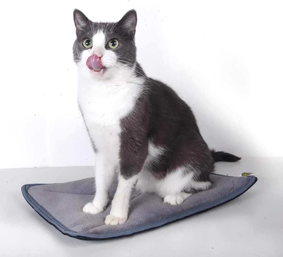 Pet Magasin Thermal Self-Heated Bed for Cat, Pack of 2, Small : Pet Supplies
