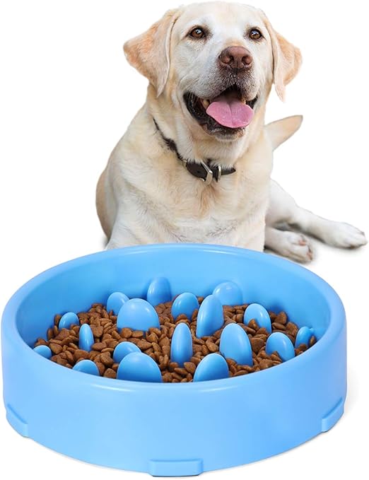amazon dog slow feeder