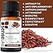 SenseLAB Indian Sandalwood Essential Oil - Wellness and Relaxation - Fragrance Oil - 100% Pure Extract Therapeutic Grade Sandalwood Oil for Aromatherapy Diffuser (10 ml)