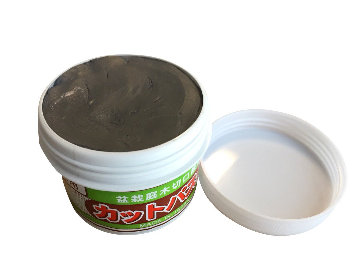 CUTPASTER Bonsai Cut Paste/Bonsai Pruning Compound 160g (GRAY
