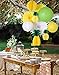 Tropical Parrot Red Teal Party Decorations for Summer Hawaiian Luau Tiki Jungle Margaritaville Party Decorations Party Decor Supplies Hanging Tissue Paper Fans Honeycomb Balls Poms Party Decorations