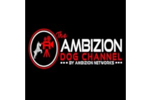 The Ambizion Dog Channel
