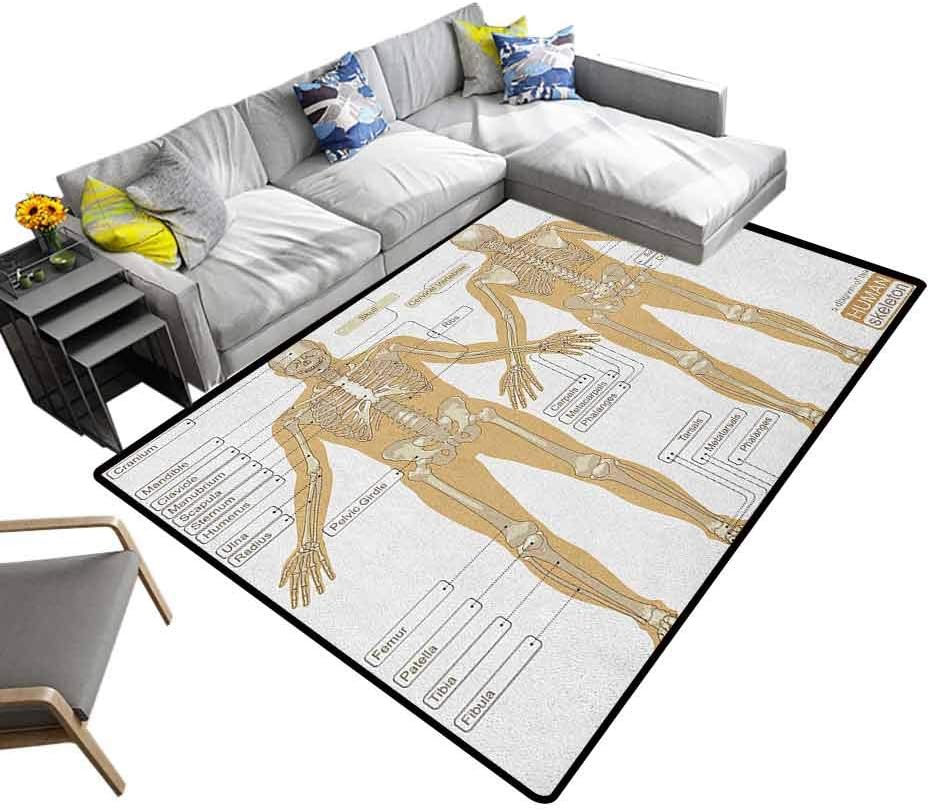 Human Anatomy Carpet Diagram of Human Skeleton System with Titled Main Parts of Body Joints Picture Rugs Mat for Living Room Bedroom White Tan (5'x7')