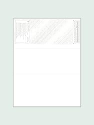 100 Blank High Security Computer Check