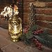 V&O by 21st Century 610-76114 10-Inch Centennial Solid Brass Trim Oil Lantern