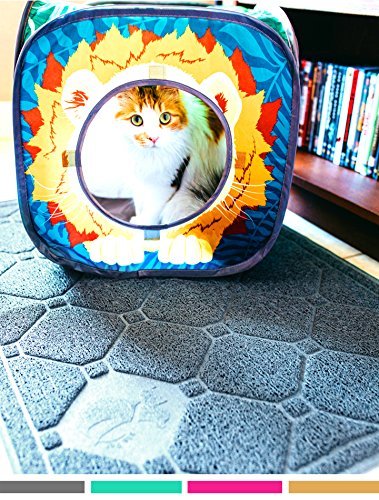 stop cat litter tracking