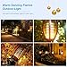 Poweradd Solar Light Outdoor, IP67 Waterproof Flickering Flames Dancing Solar Torch Lights Dust to Dawn Auto On/Off Solar Security Spotlight for Garden, Patio, Yard, Driveway - 2 Pack