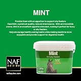 NAF Mint 500g Pure Dried Mint Leaves for Horses Digestive Support Palatability view 2