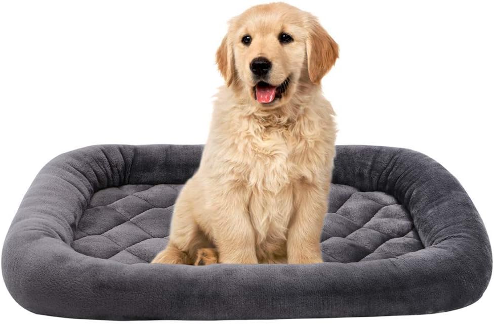 baby mattress used as dog bed