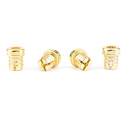 RTRHINOTUNING 100PCS Wheel Lip Rivets Nuts of