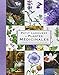 Petit Larousse Des Plantes Medicinales / the Little Larousse Dictionary of Medicinal Plants (French by 