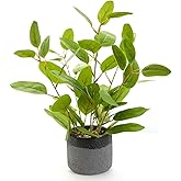 Ewtogift Fake Ficus Plants 14.5 Inches Tall Artificial Ficus Indoor Plants with Green Lifelike Leaves in Black Gray Pot for Home House Outdoor Decor Porch Pots Planter Decorations