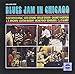 Blues Jam In Chicago - Volume 1