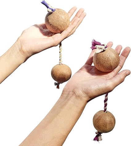 Amazon アサラト 2個セット パチカ バティカ ブラニ 天然手作り 便利な携帯用フック付き 楽器 音響機器 楽器